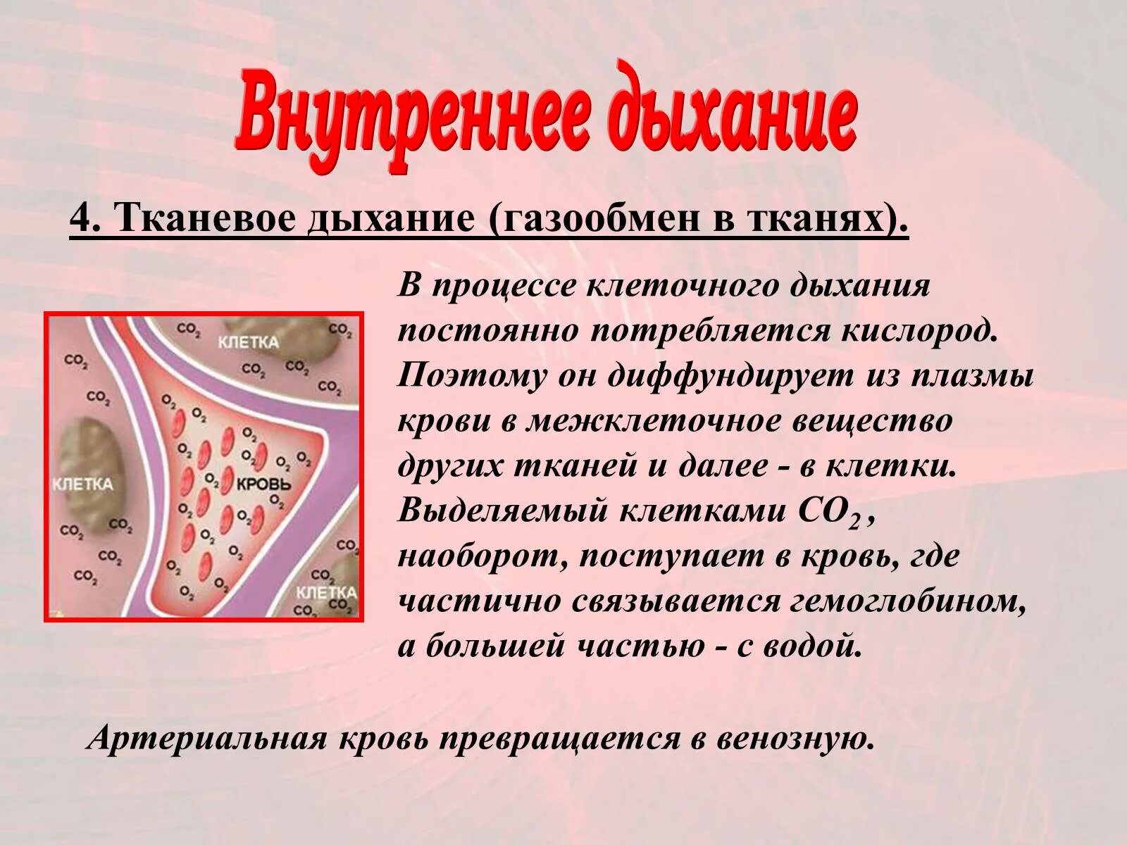 Внутреннее тканевое дыхание. Внутреннее дыхание это газообмен между. Тканевый газообмен. Газообмен в легких и тканях