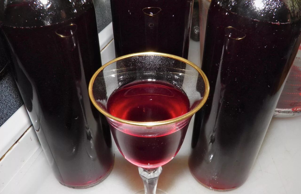 Как приготовить вино. Виноградное вино из сорта Изабелла. Сливово виноградное вино. Вино из сливы. Домашнее сливовое вино.