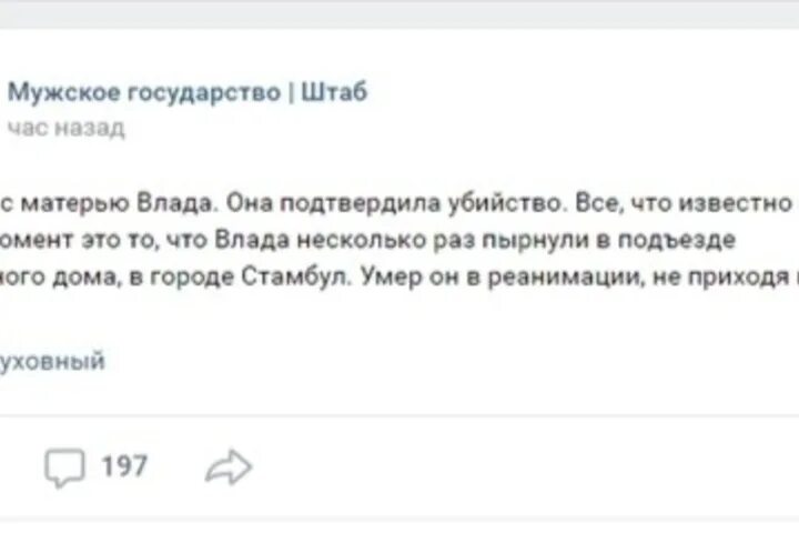 Поздняков телеграм канал. Мужское государство. Поздняков телеграм. Мужское государство штаб.