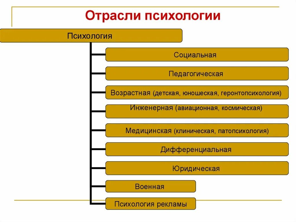 Общая психология кратко. Отрасли психологии. Отрасли психологии схема. Классификация отраслей психологии. Отрасли науки психологии.