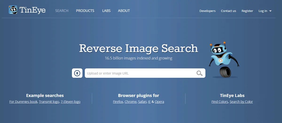 Big image search
