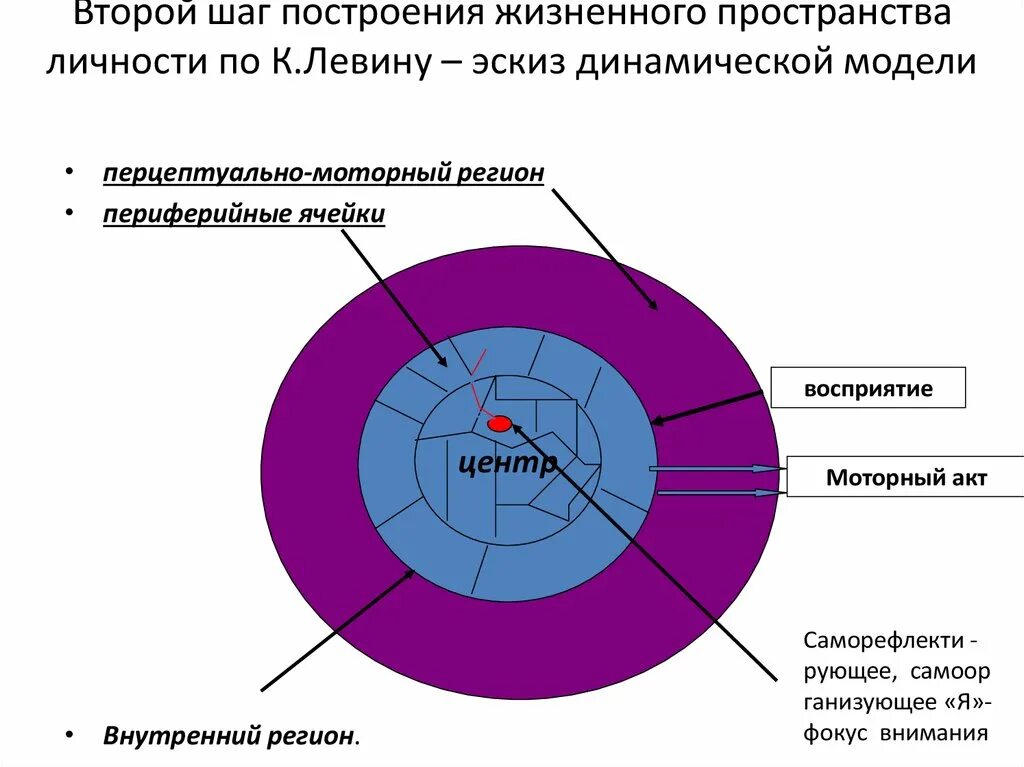 Теория окружения. Курт Левин теория поля. Теория личности Левина. Структура личности Левин. Теория жизненного пространства.