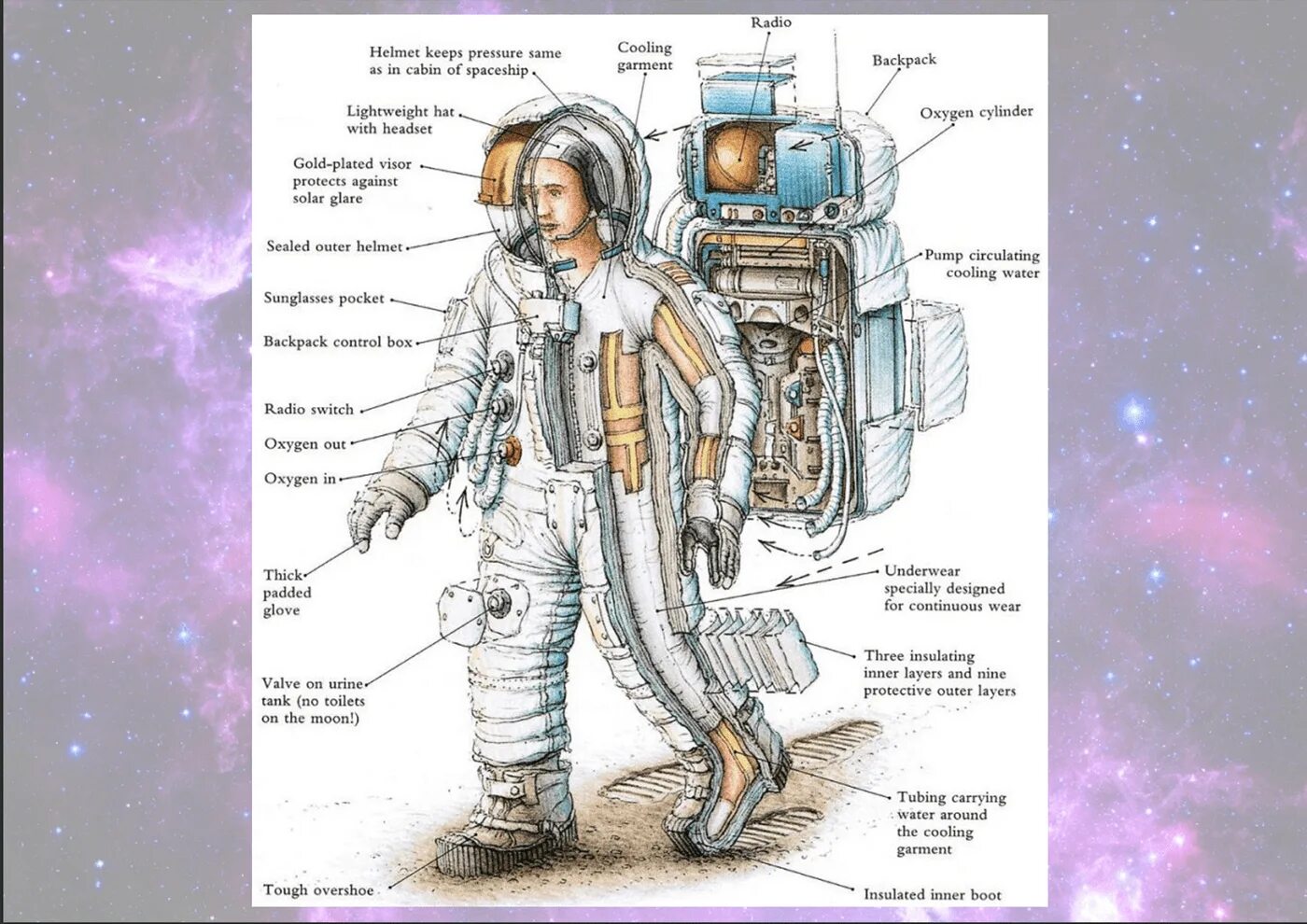 Зачем космонавту скафандр. Строение космического скафандра. Строение скафандра Космонавта. Из чего состоит скафандр Космонавта. Скафандр Орлан.