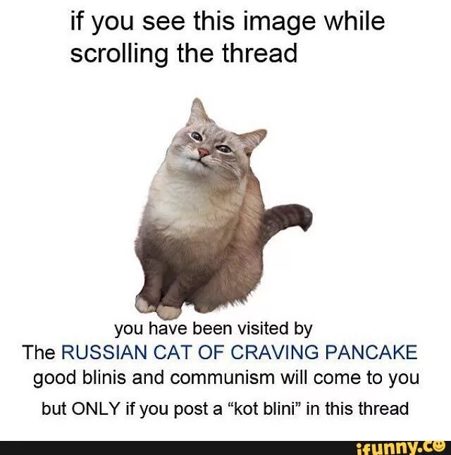Russian Cat Мем. Кот blini. Котя котя котя Мем. I want blini Мем. These your cats