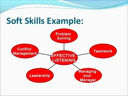 Examples of software are