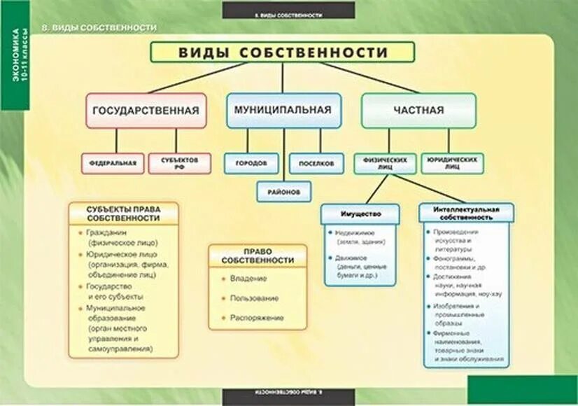 Схема видов таблиц. Назовите виды собственности. Виды собственности в РФ таблица. Формы и виды собственности в РФ схема. Типы собственности в экономике таблица.