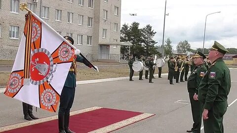 28 й день