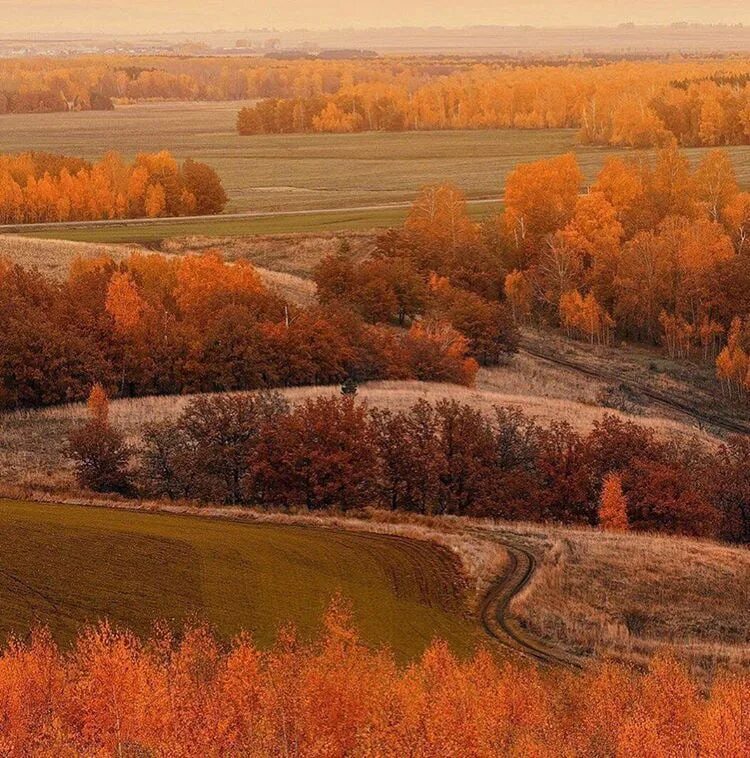 Гора чатыр тау в азнакаево. Гора чатыр-тау в азнакаевском районе. Гора чатыр тау. Чатыр тау штольни. Чатыр тау азнакаево.