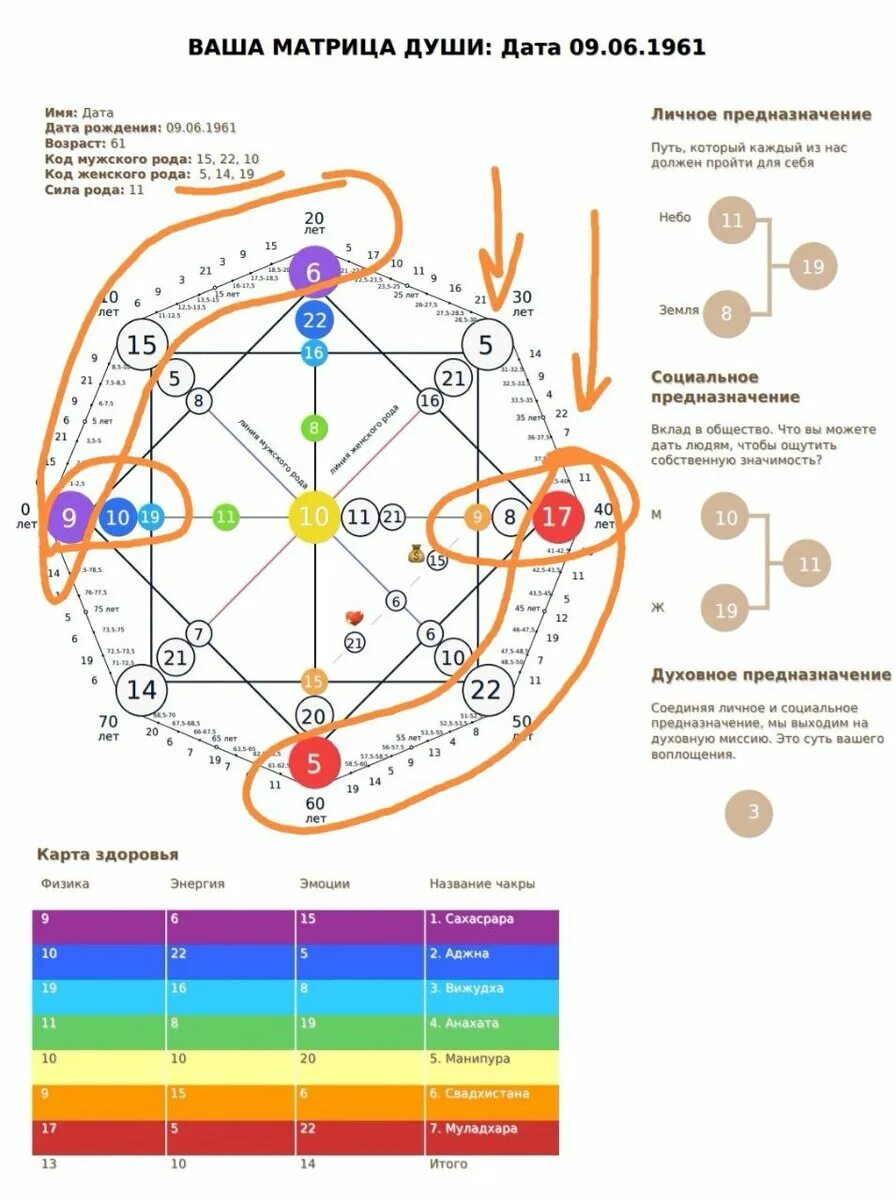 10 в матрице судьбы год. Матрица судьбы. Матрица свдь. Сахасрара в матрице судьбы. Карта здоровья по матрице.