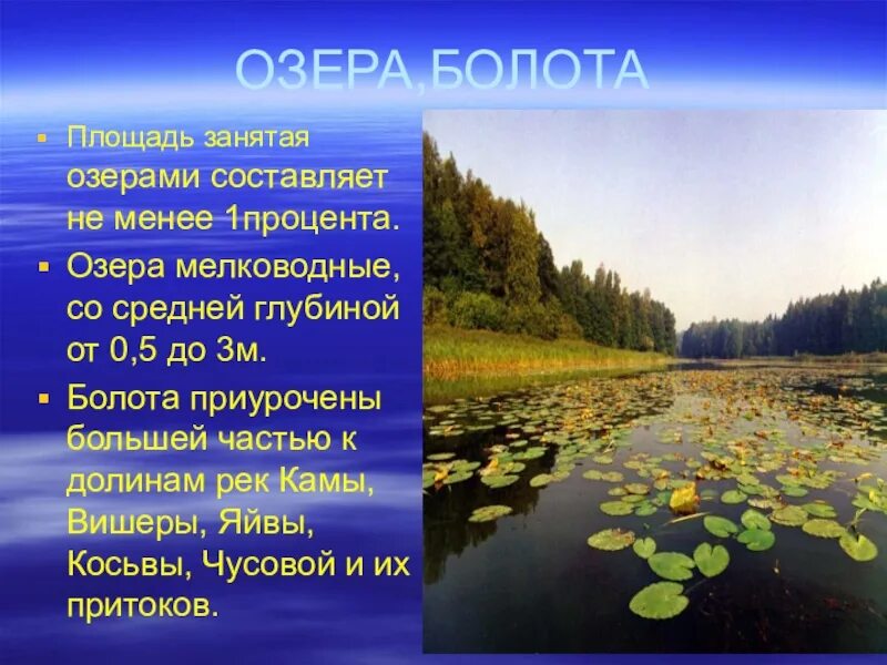 Водные ресурсы Пермского края. Водные объекты Пермского края. Богатство Пермского края. Озёра реки болота Перми.