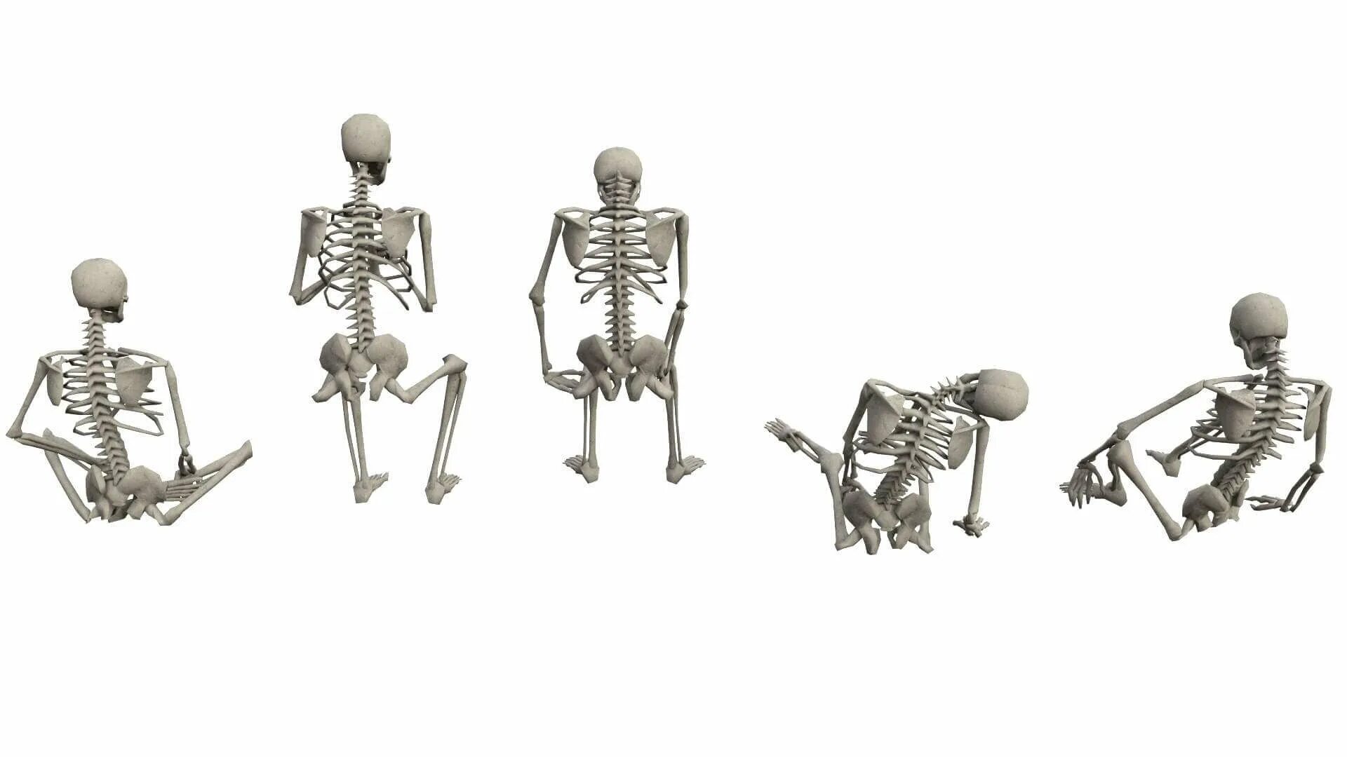 Скелет позы. Пластиковый скелет. Скелет сидит. Модели игроков со скелетами.