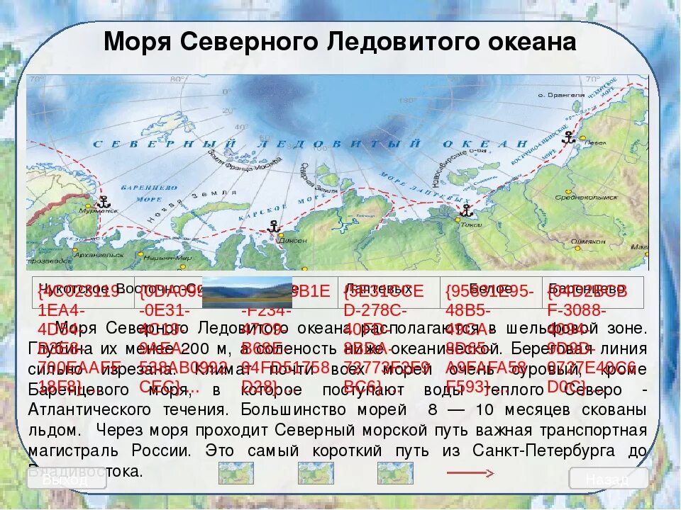 На севере какие моря находится. Моря Северного Ледовитого. Моря Северного Ледовитого океана список. Моря Северного океана. Моря России Северного Ледовитого.