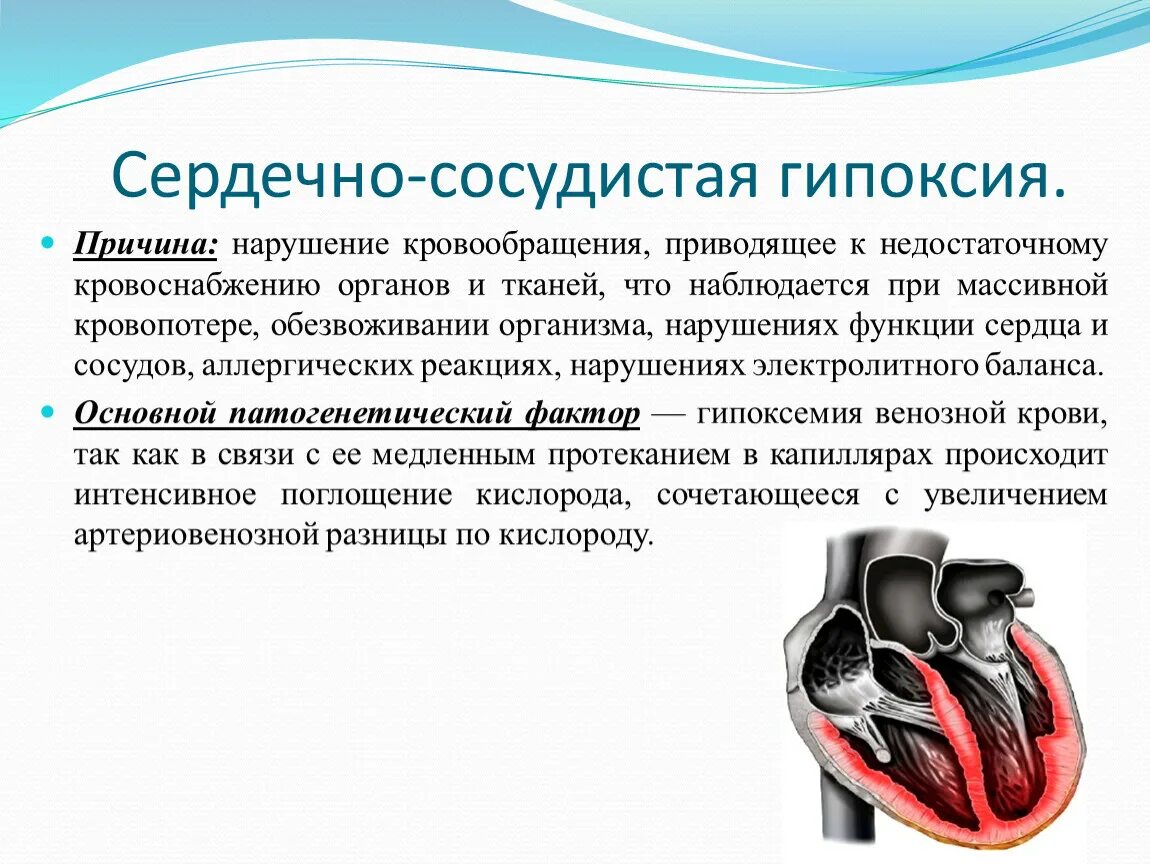 Причины сердечно сосудистой гипоксии. Сердечно- сосудистая гипоксия возникает при-. Гепакси сердечно сосудистая. Влияние на сердечно-сосудистую систему. Сердечная деятельность кровообращение