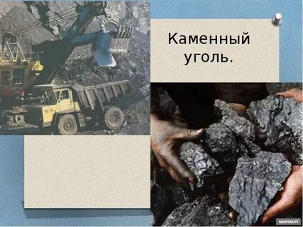 Каменный уголь какой вид полезных ископаемых