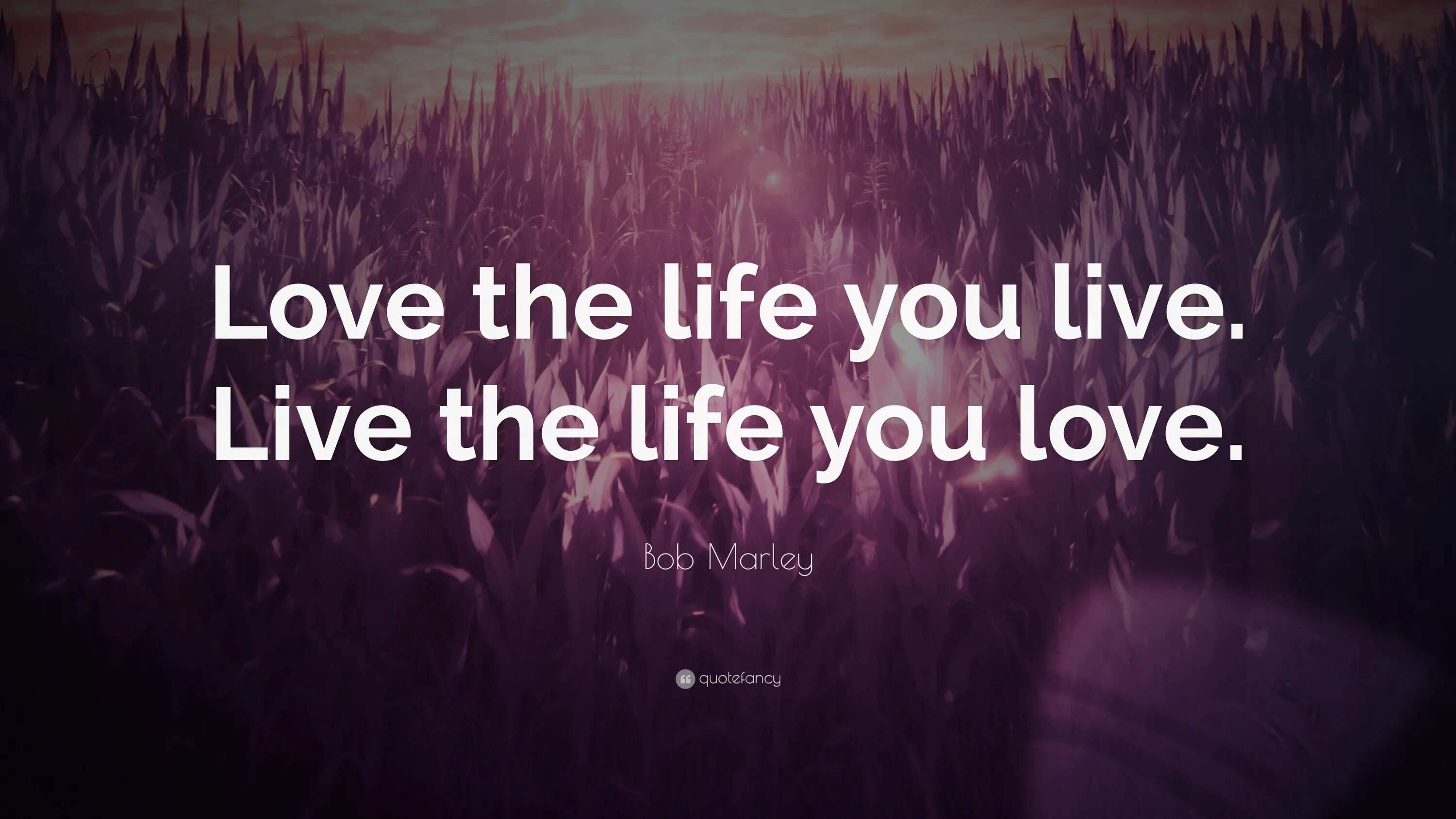 I live my life for you. Love the Life you Live. Love the Life you Live. Live the Life you Love.. Love the Life you Live. Live the Life you Love. Перевод. Love and Live quotes.