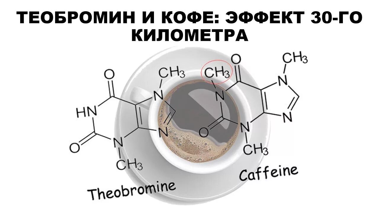 Теобромин в кофе. Кофеин и теобромин. Теобраминового эффект в кофе. В кофе кофеин и теобромин. Синдром кофеина