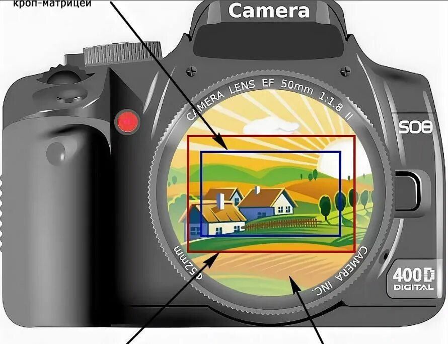 В фотоаппарате используется изображение