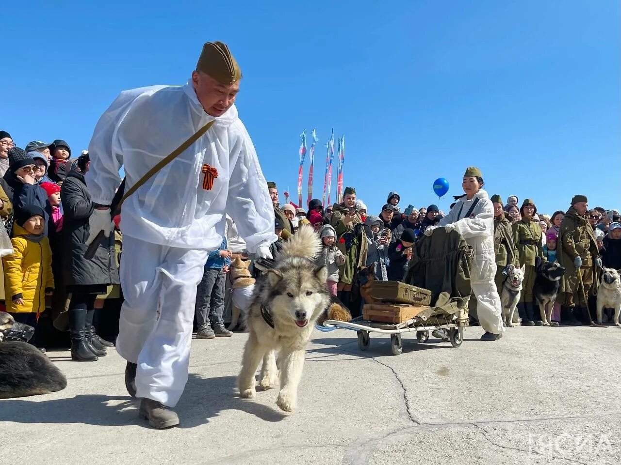 Выступление щенка