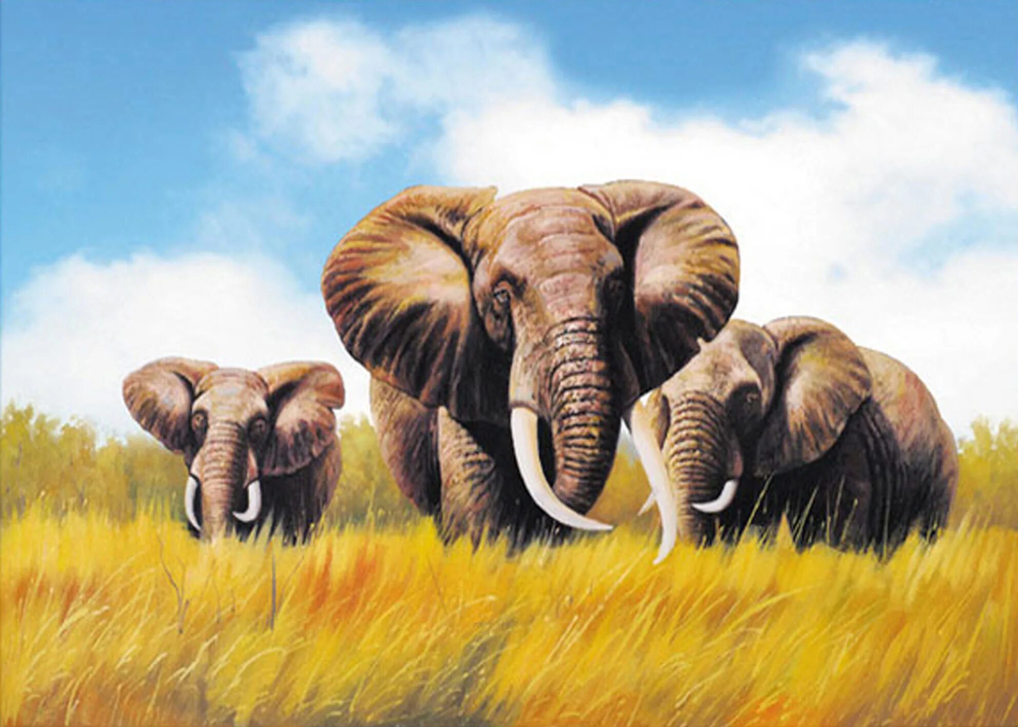Найдите 3 мудрых зверей. Картина слон. Картины со слонами. Картина семья слонов. Картина с тремя слонами.