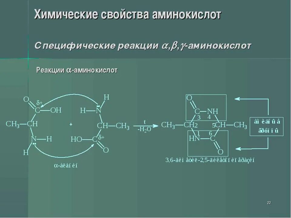 Специфические реакции Альфа- бета- и гамма-аминокислот. Специфические реакции аминокислот. Специфическая реакция на Альфа аминокислоты. Специфические свойства гамма аминокислот. Химическая связь аминокислот