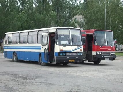 Автобус 193 новогиреево