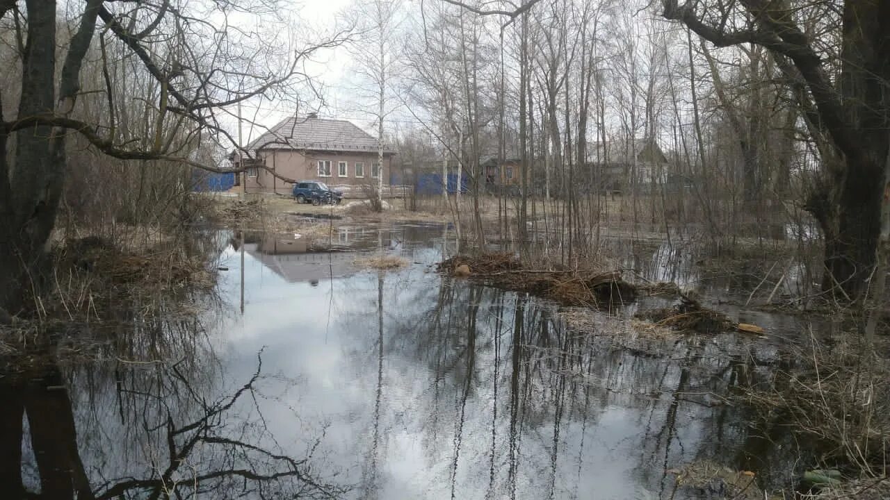 Уровень воды сож в славгороде сегодня реке. Разлив десны в Брянске 2022. Радица Крыловка Брянск разлив. Брянск разлив реки Десна. Речка в Радице Брянск.