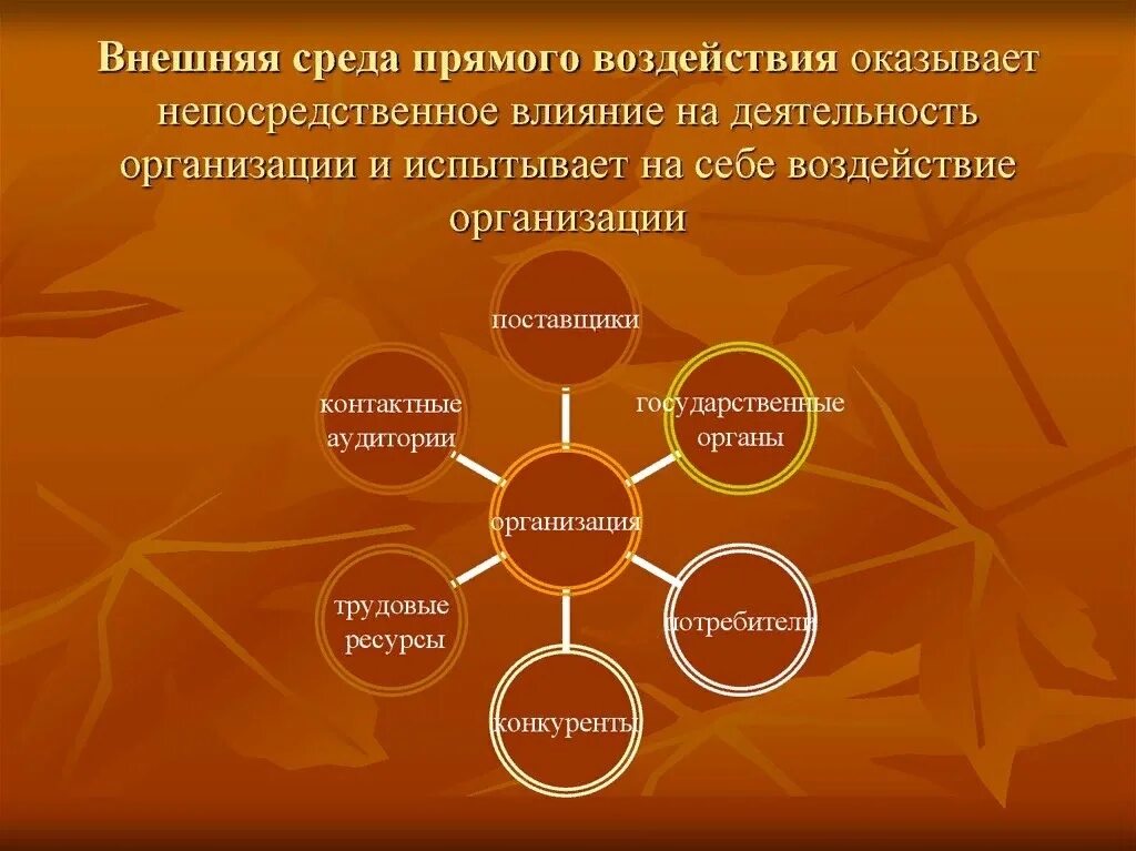 Внешняя среда прямого воздействия. Внешняя среда прямого воздействия на организацию это. Внешняя среда среда прямого воздействия. Внешняя среда воздействия прямого воздействия.