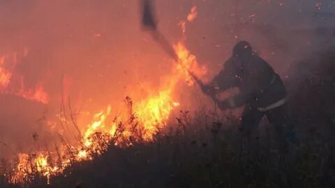 Очаги природных пожаров
