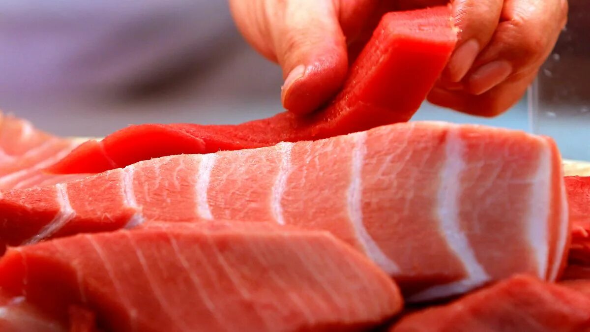 Meat sea