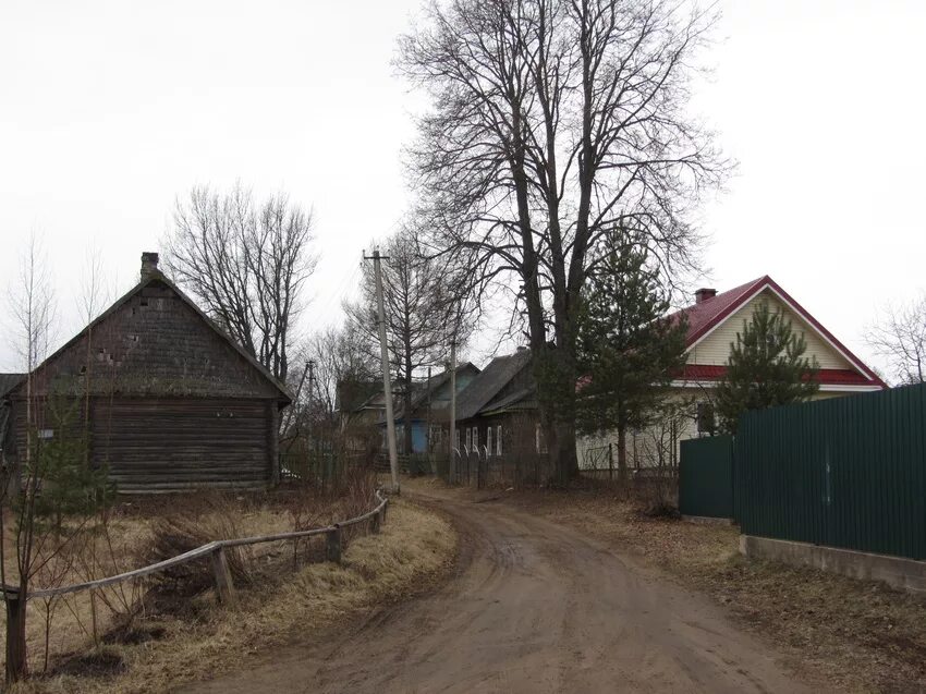 Погода сяберо. Ленинградская область деревня сяберо. Сяберо деревня. Погода сяберо. Озеро сяберо фото.