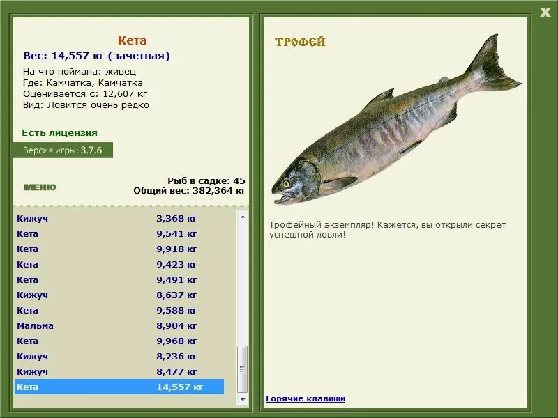 кету в весах. планеты раху и кету. кета вес. красная рыба калорийность кета кижуч горбуша. лунный узел в овне.
