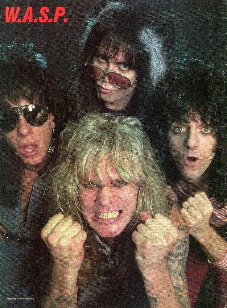 Wasp idol. Wasp группа. васп группа 80. wasp группа 1985. wasp группа 2025.