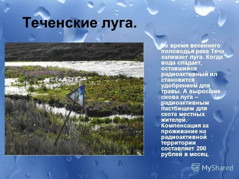 Река Теча. Река Теча в Челябинской области. Радиоактивная река Теча. Река Теча Маяк. Река луга и человек