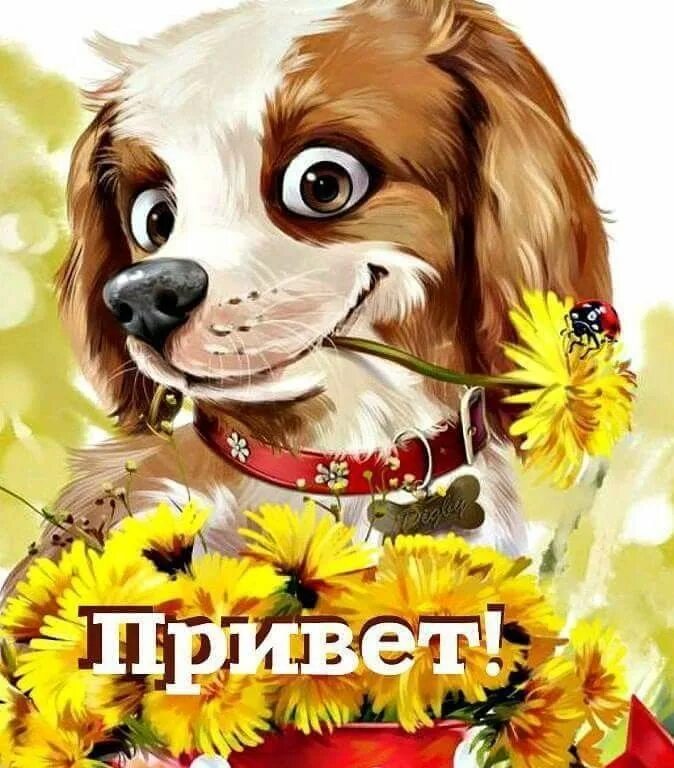 Знаешь я поздравляю. Привет собачка. Открытка щенок с цветами. Анимация собачка с цветами. Доброе утро собачки с цветами.