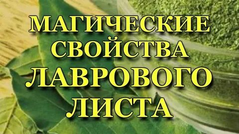 Ритуал с лавровым листом на деньги