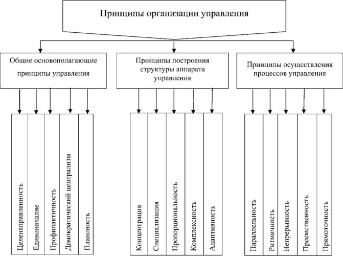 Как должно быть организовано управление. Принципы управления организацией. Принципы организации системы управления. Общие принципы управления организацией. Принципы организации менеджмента.