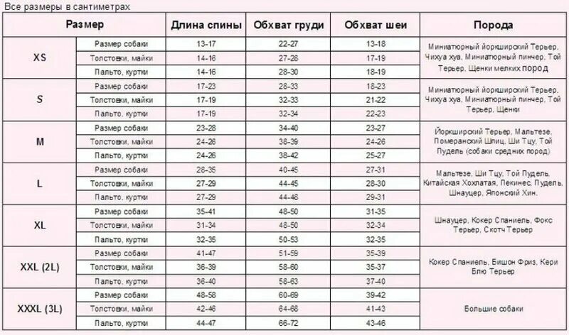 Объем в сантиметрах по размерам. Размер ошейника для собак таблица по породам. Размерная сетка для собак мелких пород той терьер. Таблица размеров для собак мелких пород. Размеры одежды для собак.