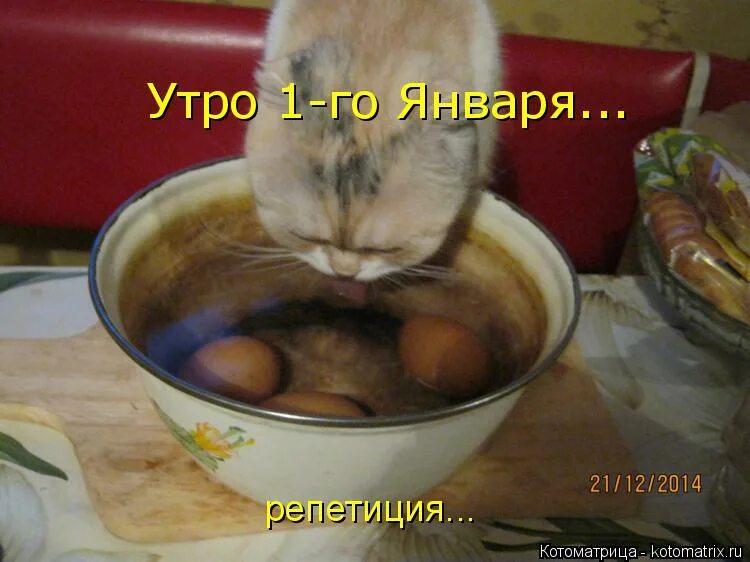 Прокофьева "александр невский". Утро 1 января это. Чем заняться днём 1 января. Утро первого января. Люблю утро первого января.