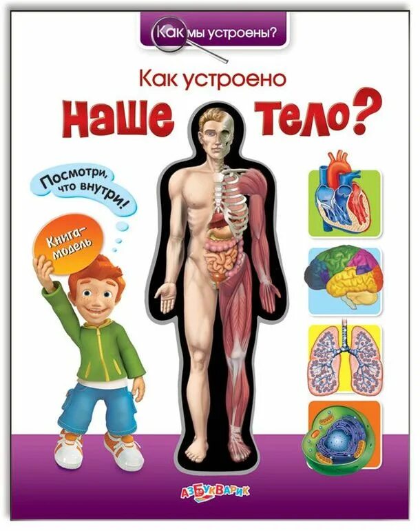 Как обустроино тело человека. Детская книга про органы человека. Книжка анатомия для детей. Энциклопедия строение человека. Игра устроен человека