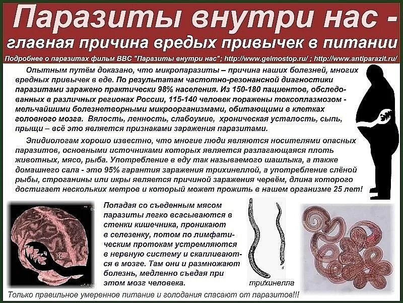 Глисты в организме человека. Глисты и черви в организме человека. Симптомы паразитов у человека.