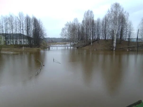 Кичменгский городок подвесные мосты. Медведь Кичменгский городок. Пляж Кичменгский городок. Кичменгский городок ВКОНТАКТЕ. Уровень воды в реке вологда сегодня