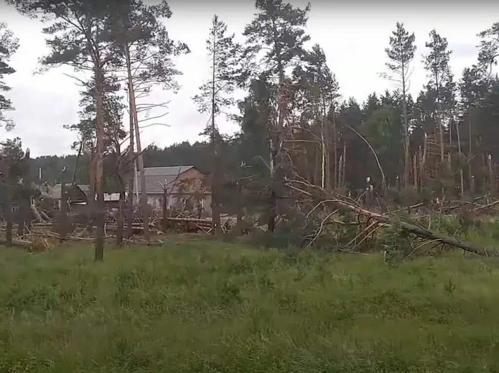 Брянск поселок Сельцо. Деревня Сельцо Брянская область. Кладбище г Сельцо Брянской области. Сельцо Новгородская область. Погода сельцо брянская область на неделю точный