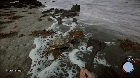 The forest панцирь