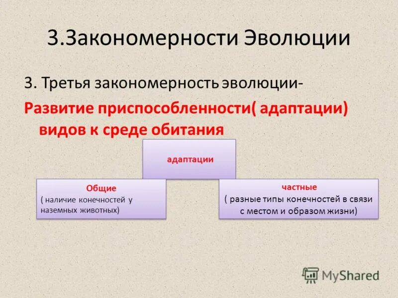 Основные закономерности эволюции биология 9 класс. Закономерности эволюции. Основные закономерности эволюции. Общие закономерности биологической эволюции. Законосерностиэыолюции.