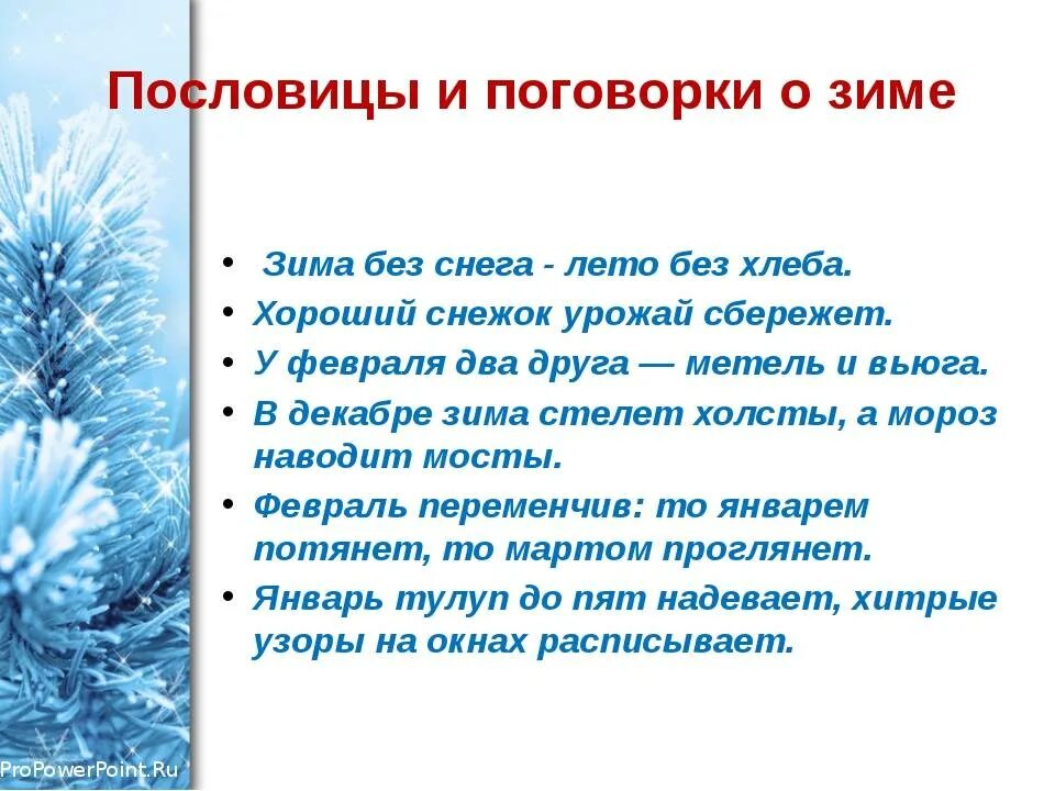 Приметы на зимнюю тему. Пословицы и поговорим о Симе. Пословицы и поговорки о зиме. Пословицы и приметы о зиме. Приметы пословицы поговорки о зиме.
