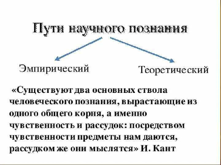 Эмпирический рациональный. Научный путь познания. Эмпирический путь познания. Эмпирический путь и теоретический. Путь научного знания.