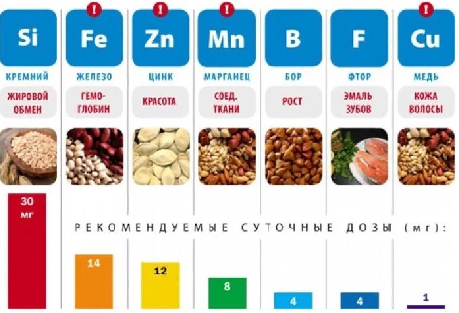 Какие минералы в организме человека