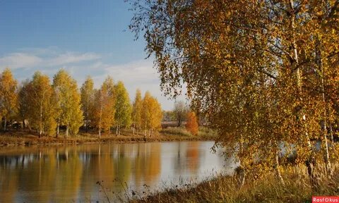 Ласковая осень