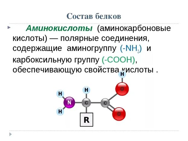 Природные белки состоят из каких аминокислот. Аминокислоты входящие в состав белков имеют. Аминокислоты их строение. Строение аминокислот химия. Таблица протеиногенных аминокислот.