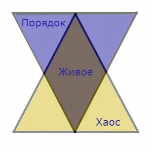 Приведите примеры перехода от хаоса к порядку